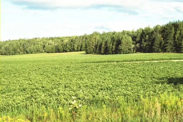 $219,000 | 558 Center Limestone Road, Fort Fairfield, ME 04742