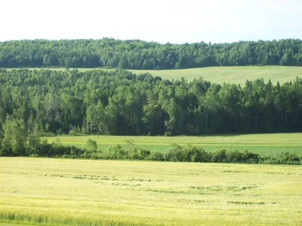 $219,000 | 558 Center Limestone Road, Fort Fairfield, ME 04742