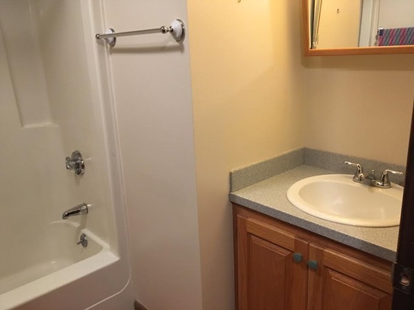 76 Proctor Road Townsend, MA 01469 - Photo 16 of 30 a bathroom with a sink and a bathtub