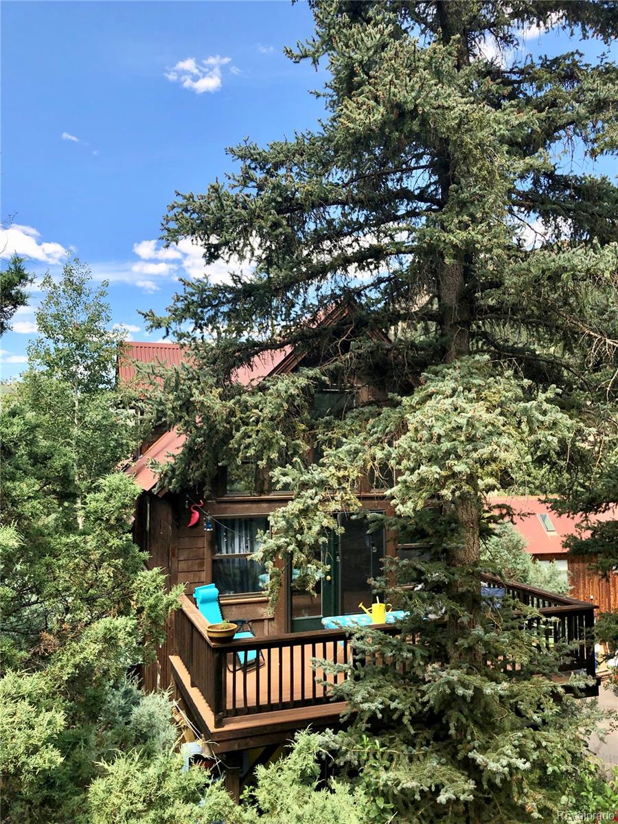923 Two Rivers Drive Telluride, CO 81435 - Photo 34 of 35 Gallery Image 34