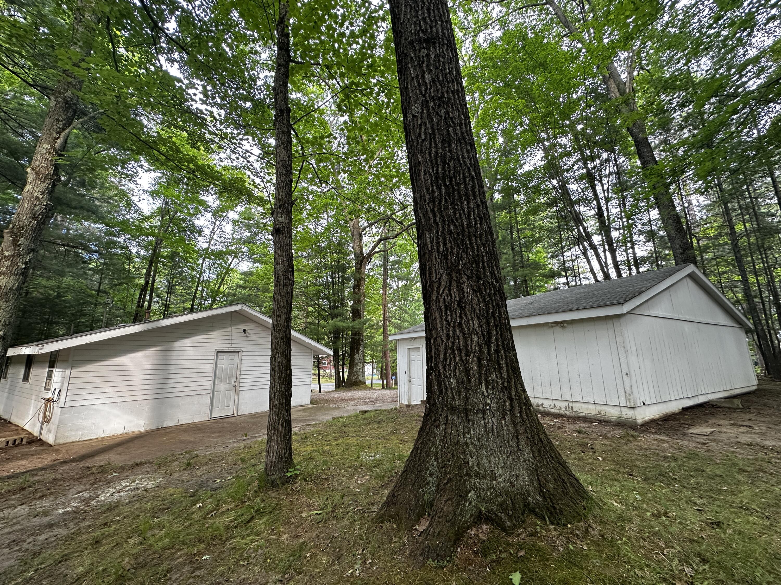 5112 Maple Street Irons, MI 49644 - Photo 2 of 21 IMG_9890
