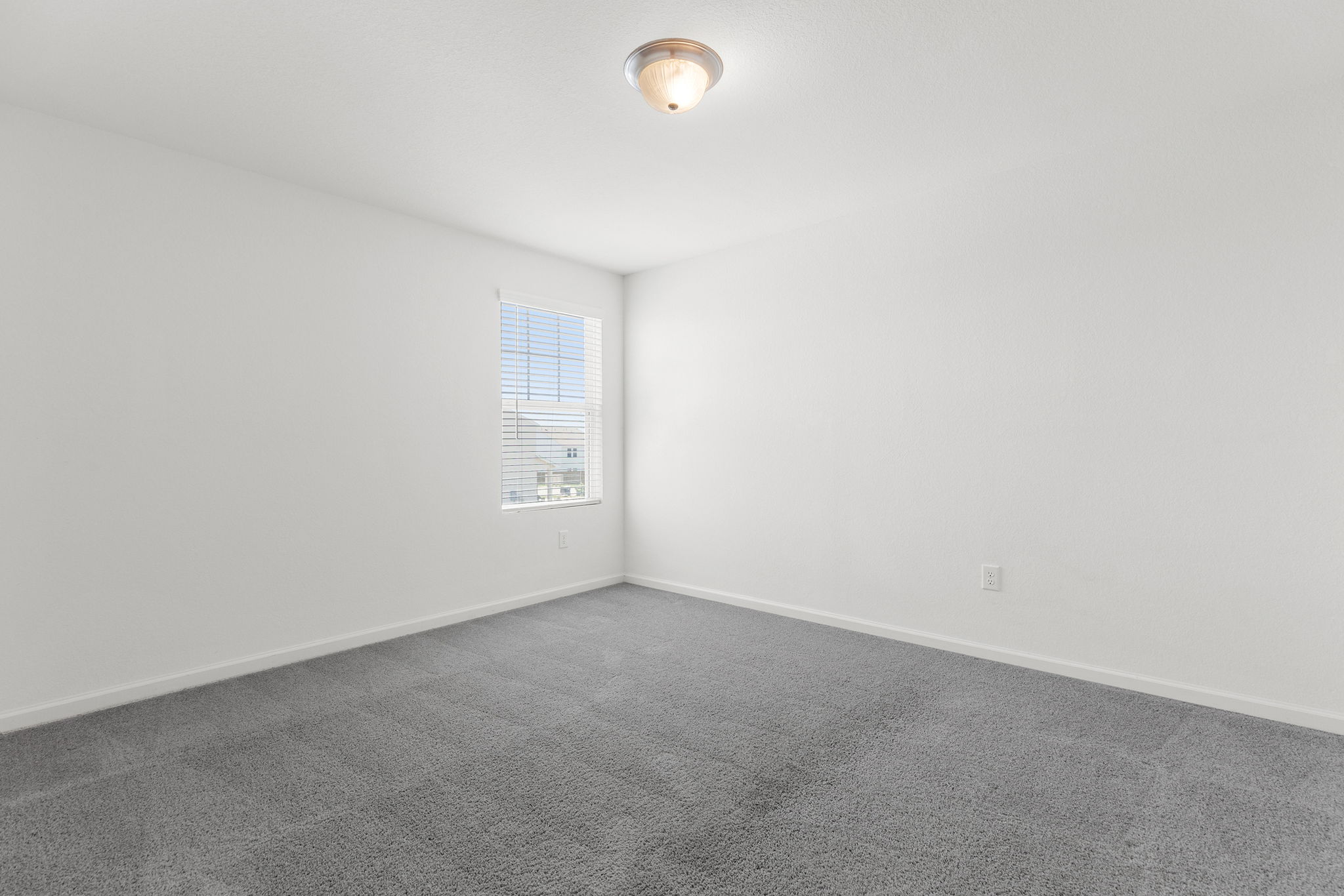 409 Line Of Fire Way Jarrell, TX 76537 - Photo 24 of 30 Room featuring neutral wall paint, plush gray carpeting, baseboard trim, and open wall space for flexible furniture placement.