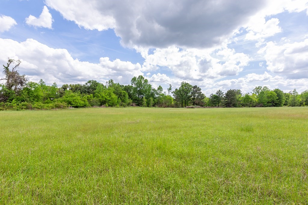 247 McCarty Road Lufkin, TX 75904 - Photo 5 of 9 a view of a green field with wooden fence