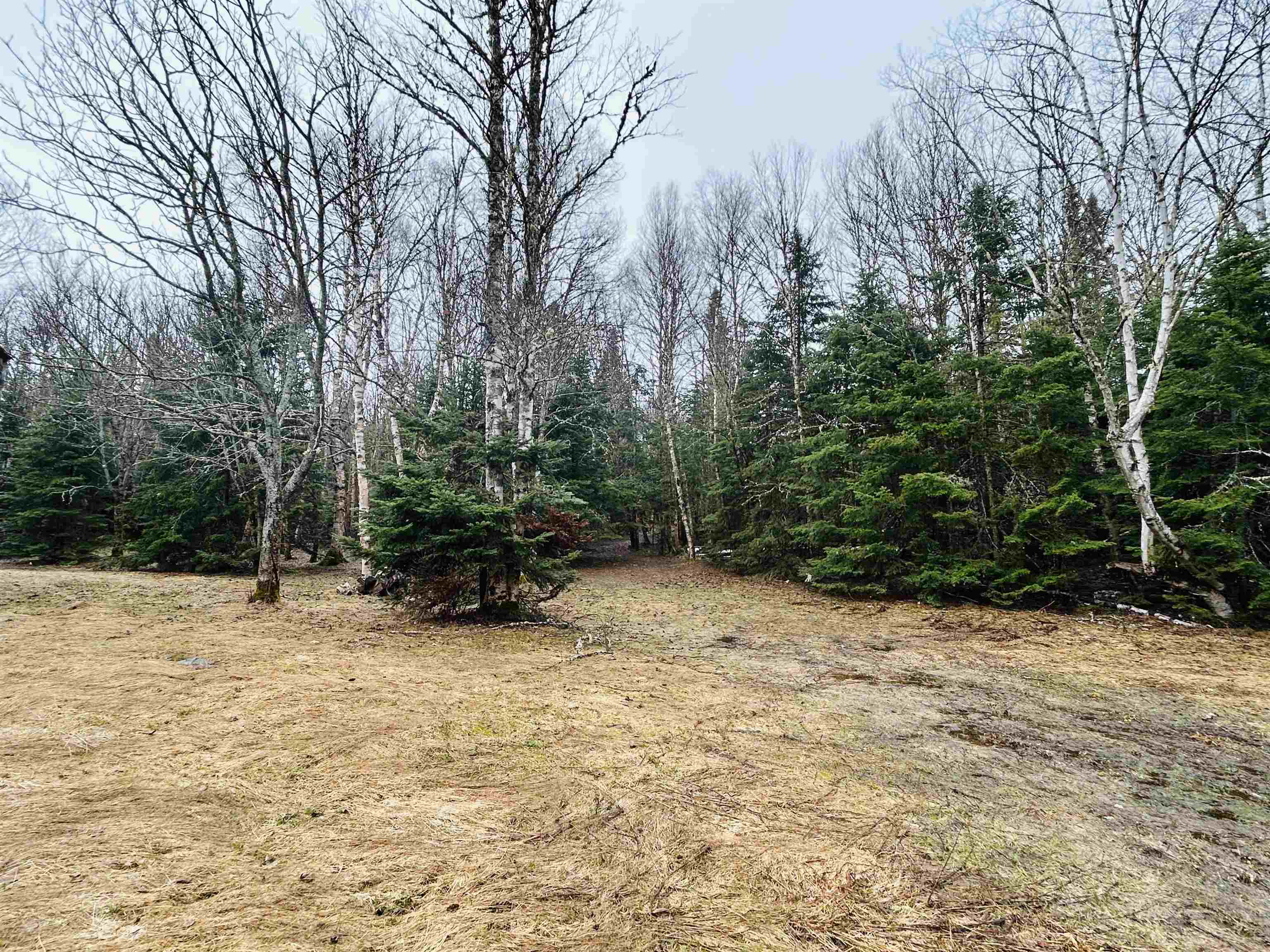 242 Noyes Road Stewartstown, NH 03576 - Photo 15 of 60