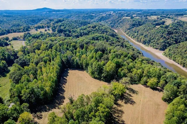 a view of a forest with a park