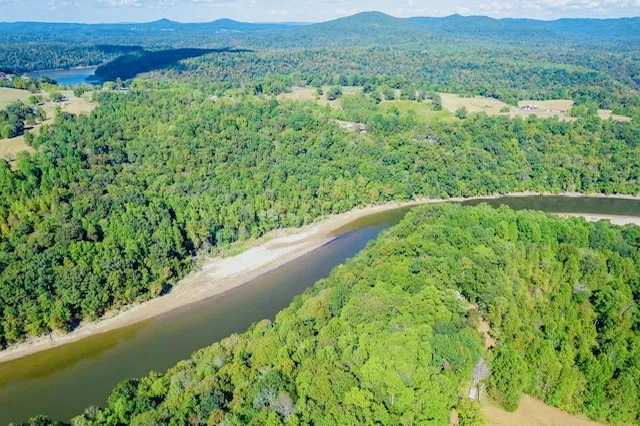 a view of a lush green hillside and a mountain