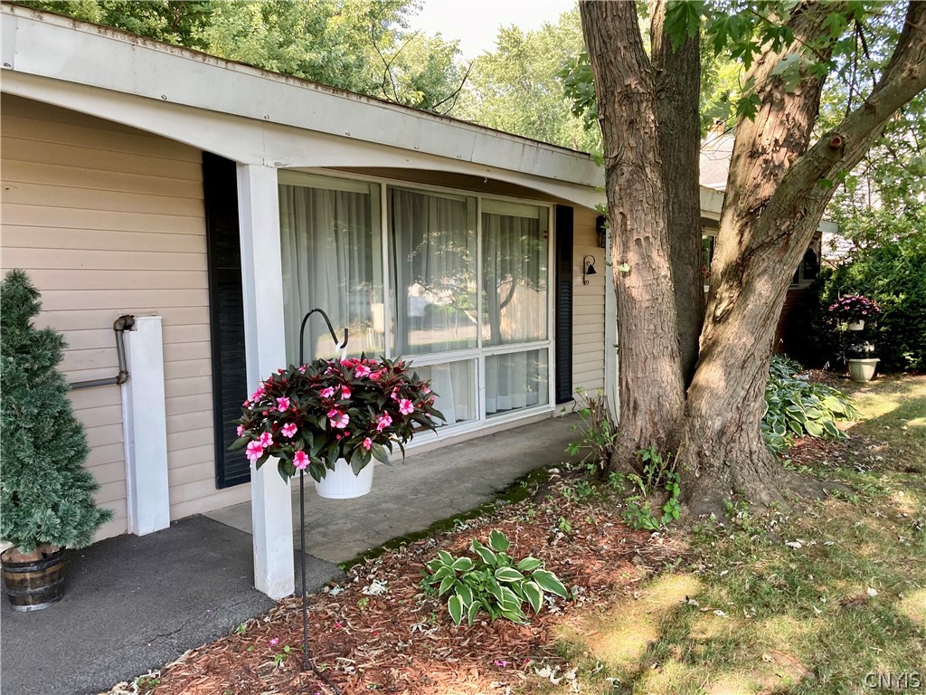 3 Plaza Road Clay, NY 13090 - Photo 42 of 43