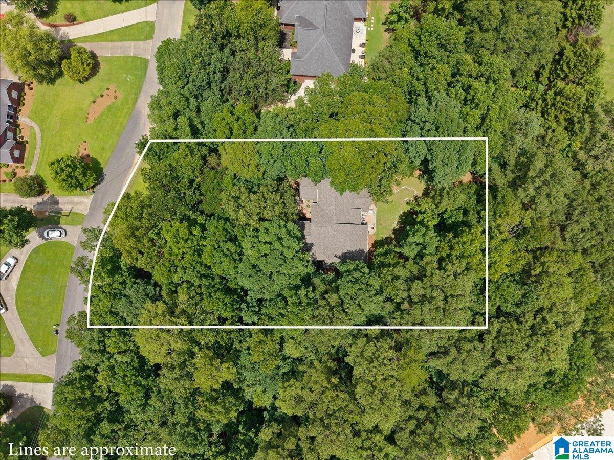 332 Hayfield Loop Dora, AL 35062 - Photo 44 of 45