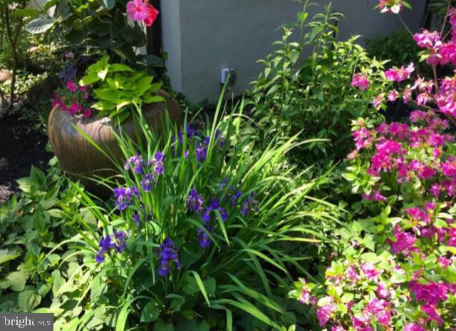 398 Lakeside Road Ardmore, PA 19003 - Photo 50 of 51 Bursts of color throughout the warm weather