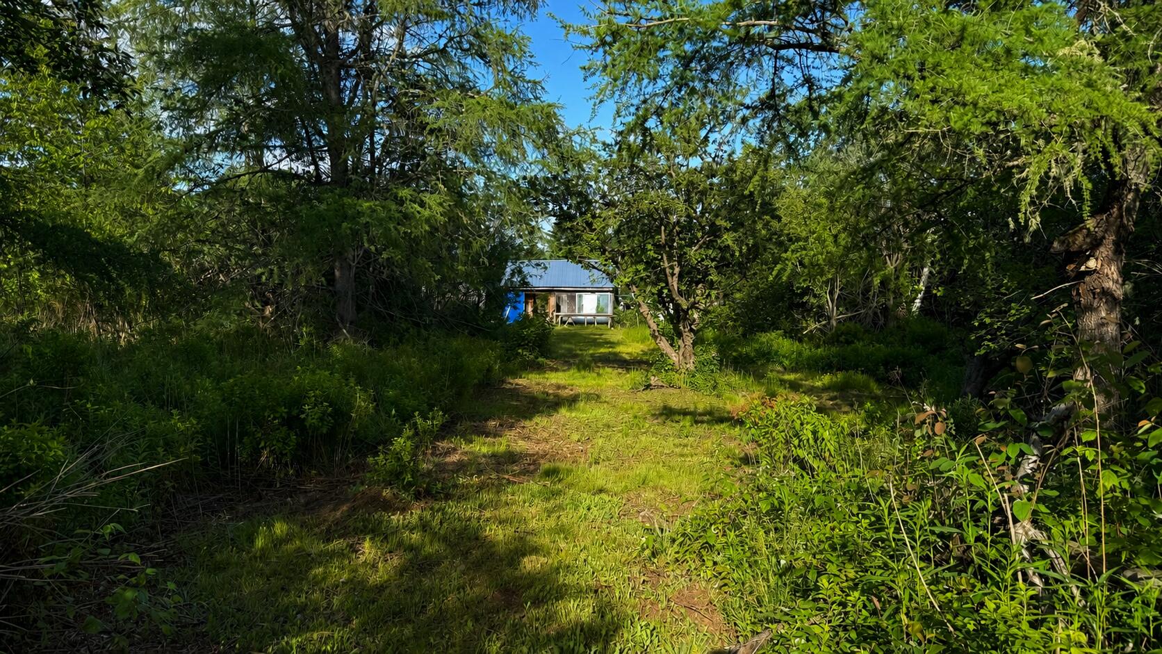 363 South Lubec Road Lubec, ME 04652 - Photo 11 of 13 363 South Lubec Road