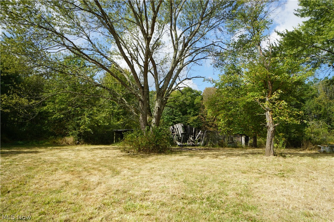 14110 Ellett Road Beloit, OH 44609 - Photo 10 of 29 Gallery Image 10