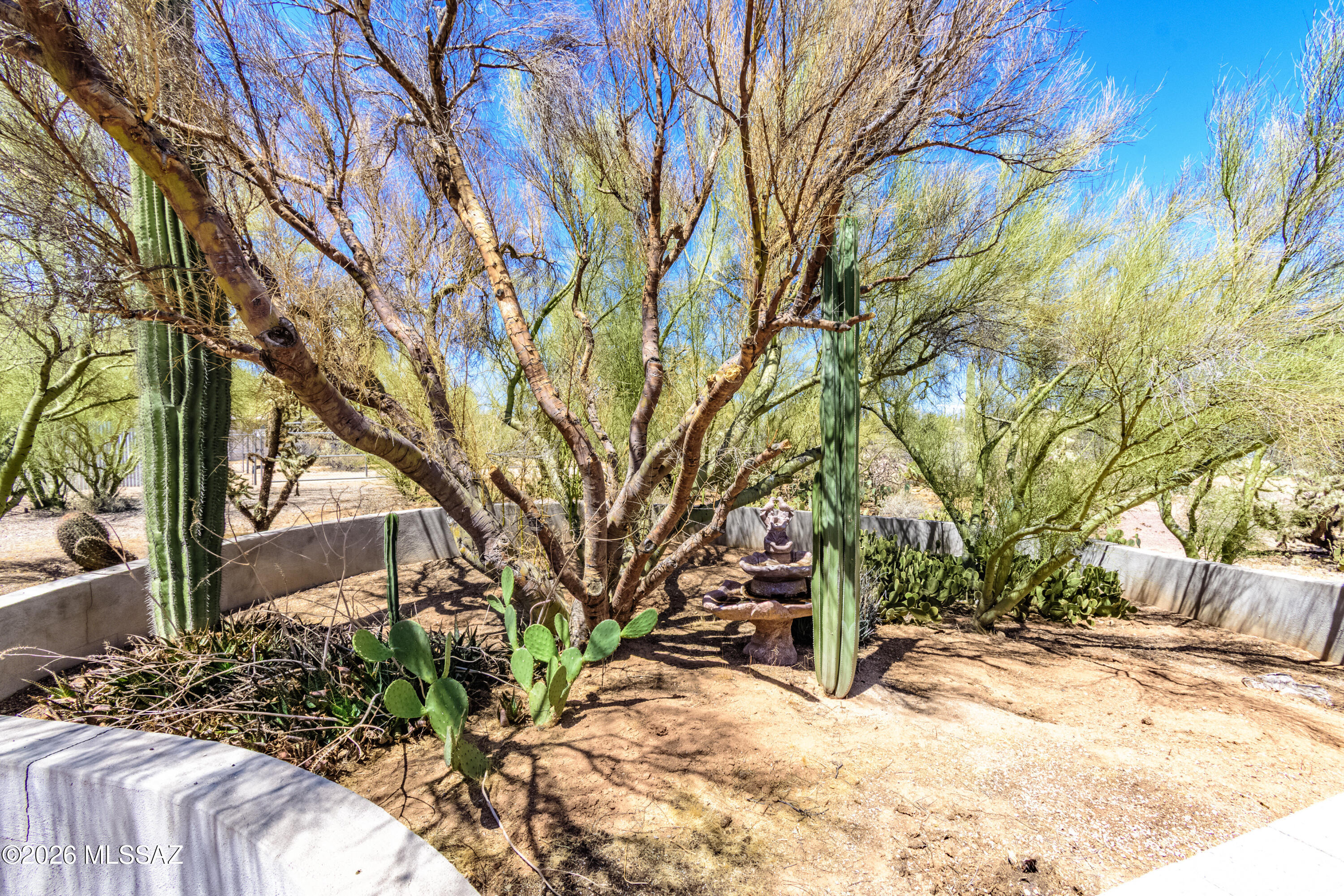 3002 West Oasis Road Tucson, AZ 85742 - Photo 47 of 49 Turtle Enclosure View 2 3002