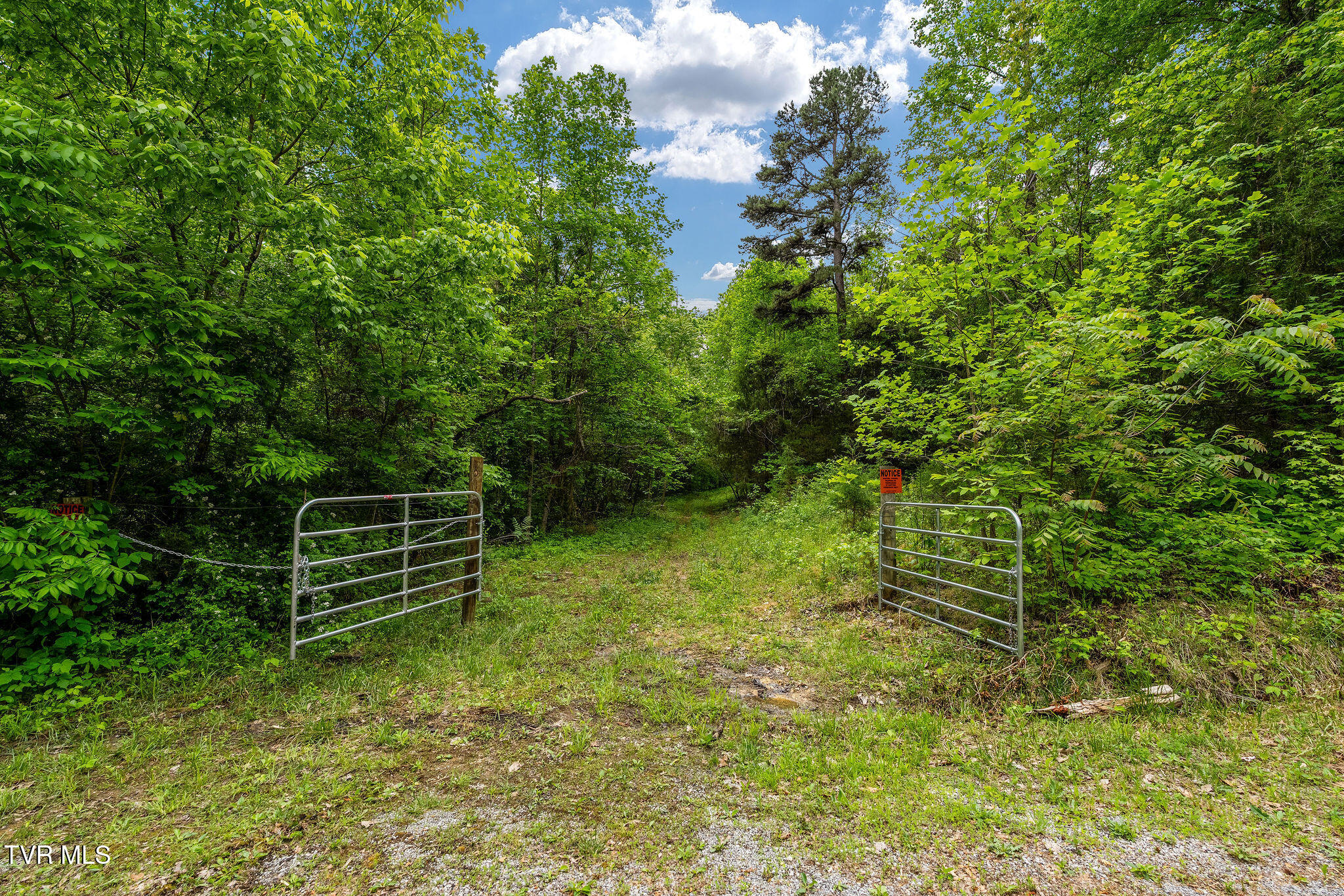 Tbd Wattenbarger Gap Road Greeneville, TN 37745 - Photo 1 of 41 DSC08351