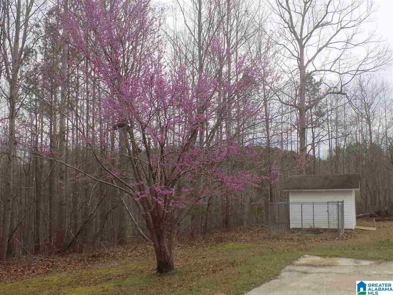 140 Risley Drive Odenville, AL 35120 - Photo 18 of 18