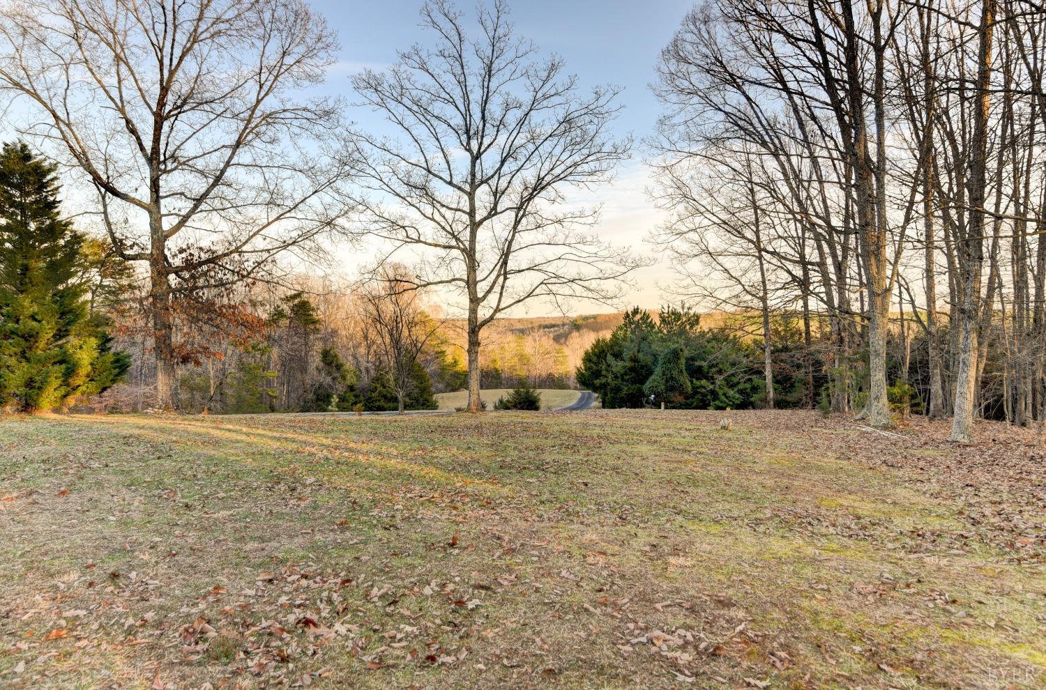 2598 Stapleton Road Madison Heights, VA 24572 - Photo 35 of 54