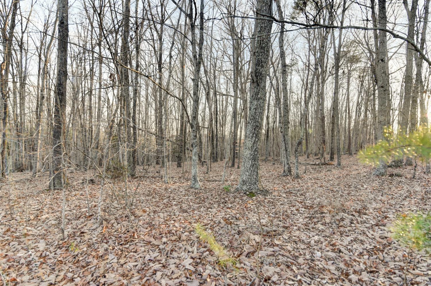 2598 Stapleton Road Madison Heights, VA 24572 - Photo 38 of 54