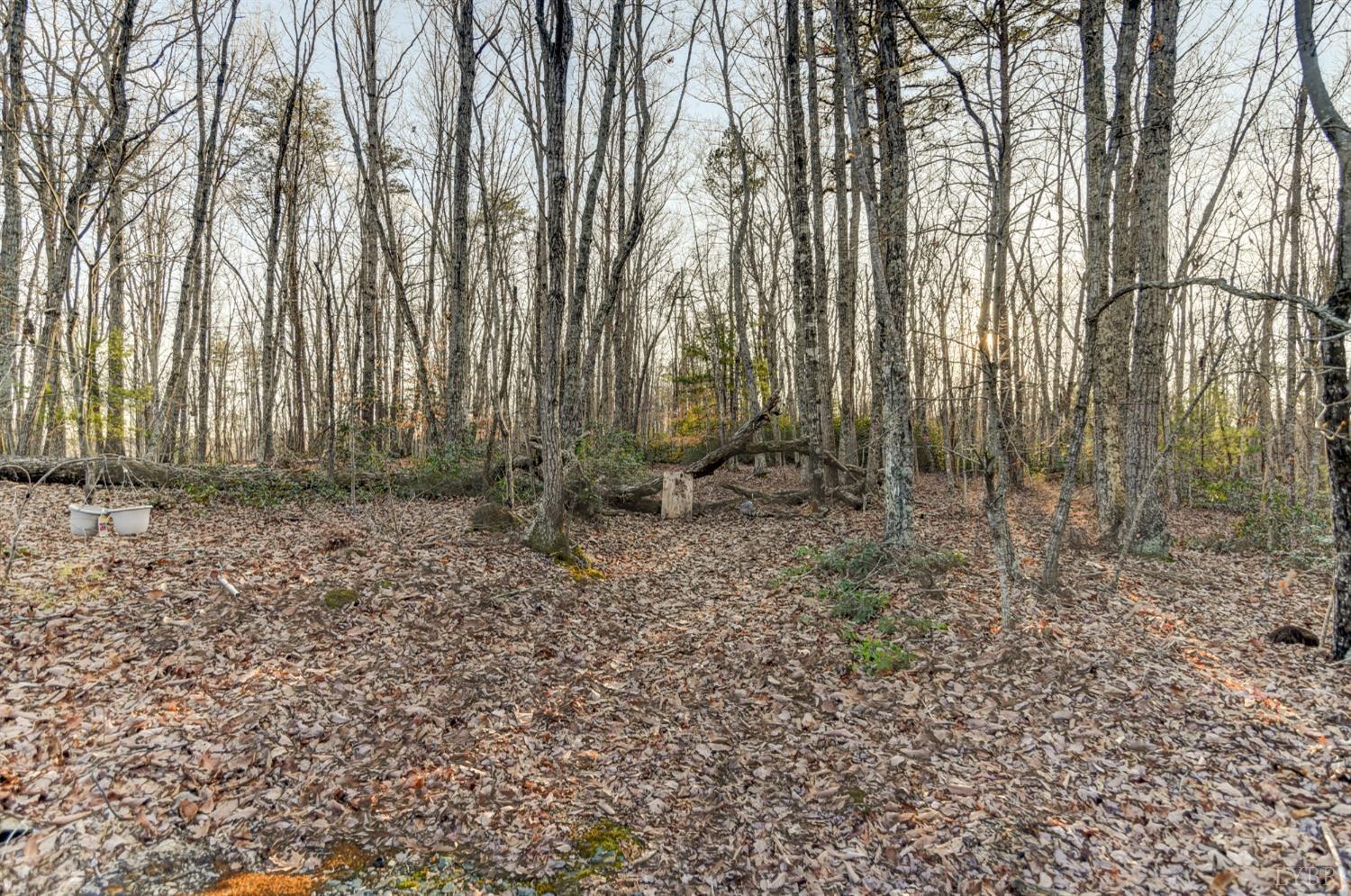 2598 Stapleton Road Madison Heights, VA 24572 - Photo 45 of 54