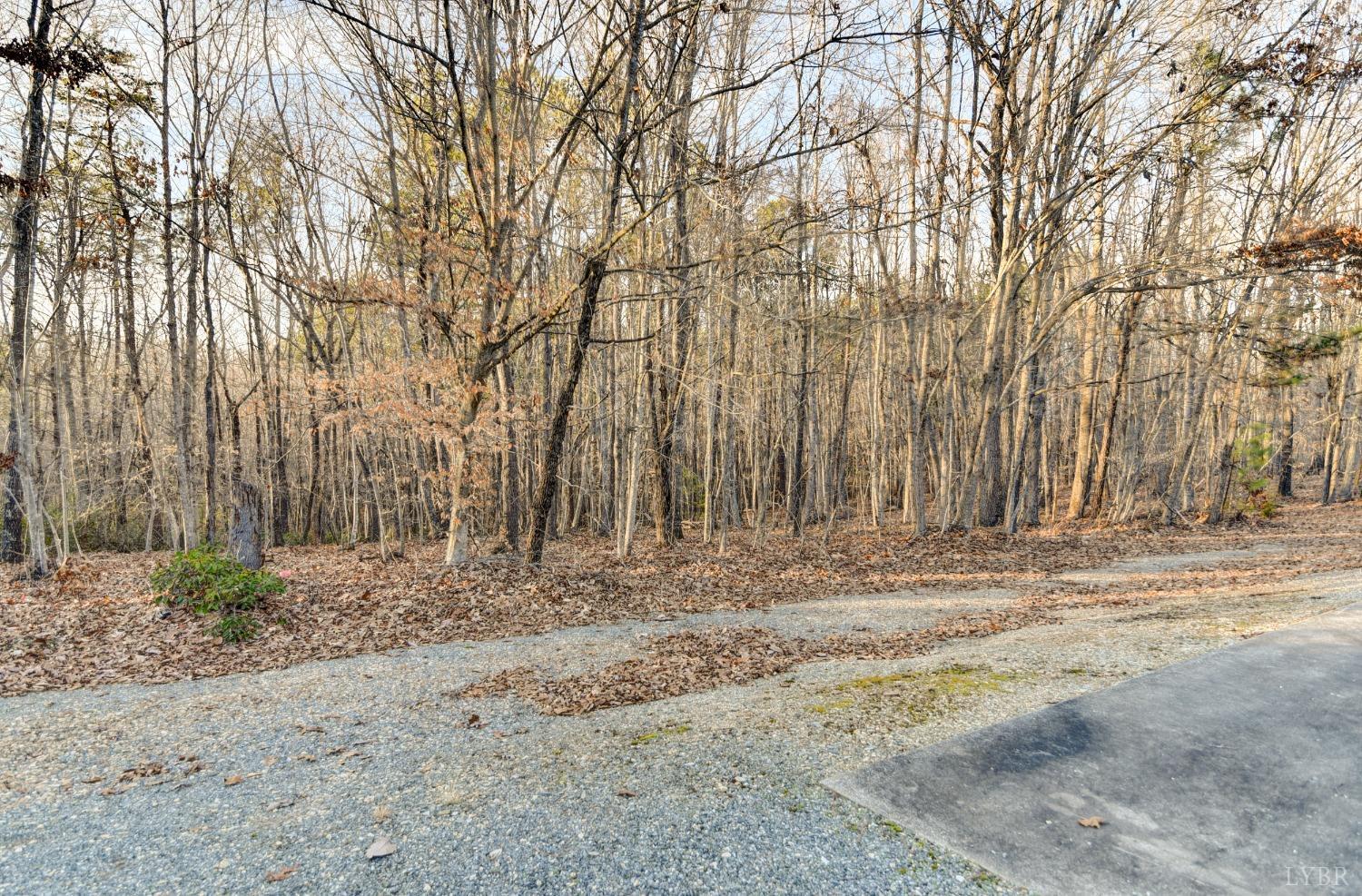 2598 Stapleton Road Madison Heights, VA 24572 - Photo 47 of 54