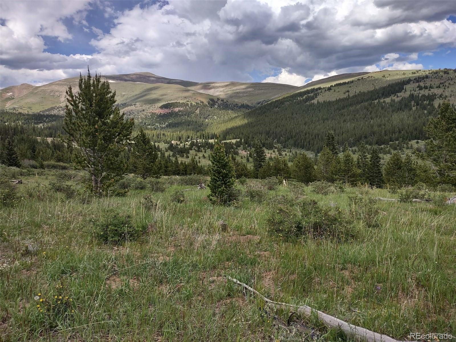 0 Snow Cap Peaks Road Fairplay, CO 80440 - Photo 5 of 20
