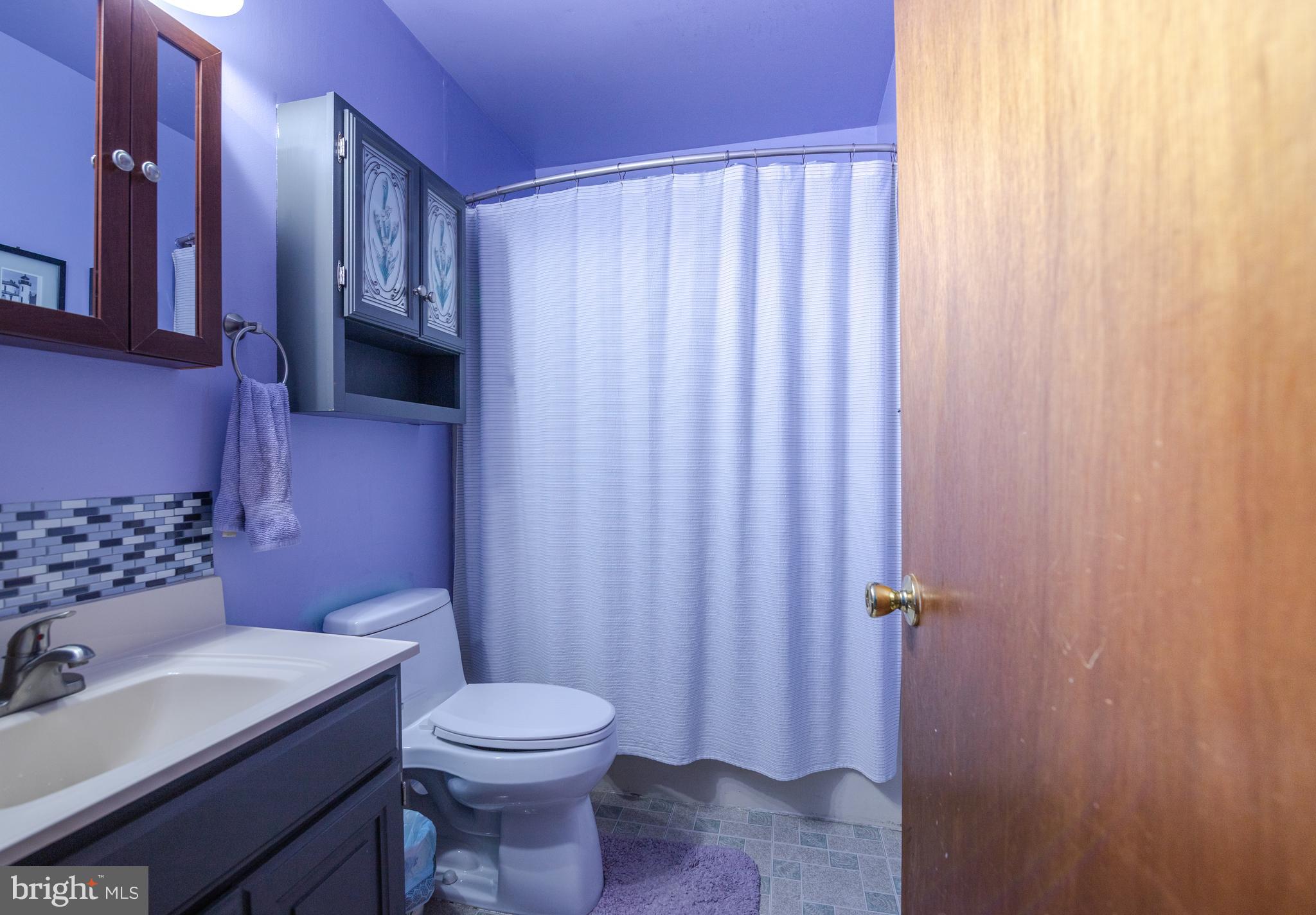 311 East Village Road Elkton, MD 21921 - Photo 14 of 37 Main hall bathroom