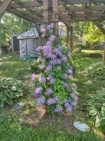 $235,000 | 407 Merrill Street, Sparta, WI 54656