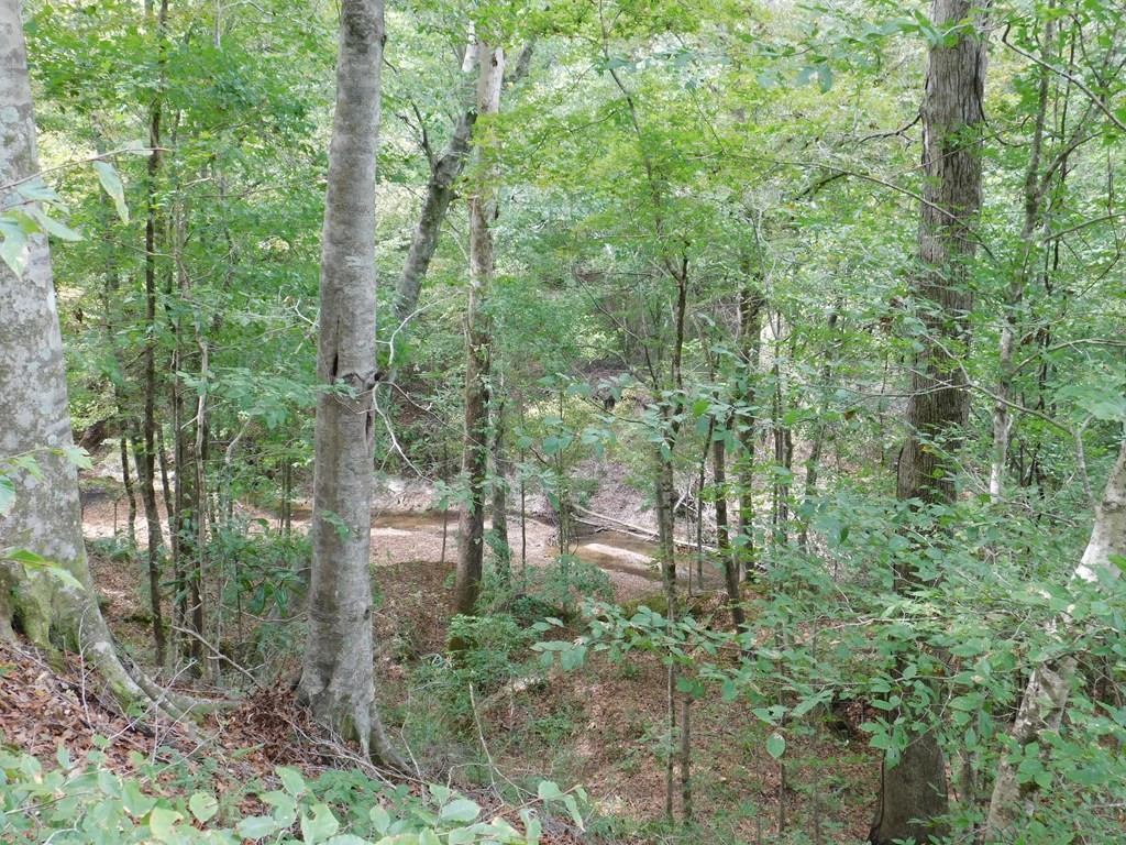 3227 Chamberlain Road Natchez, MS 39120 - Photo 15 of 65 Photo 15