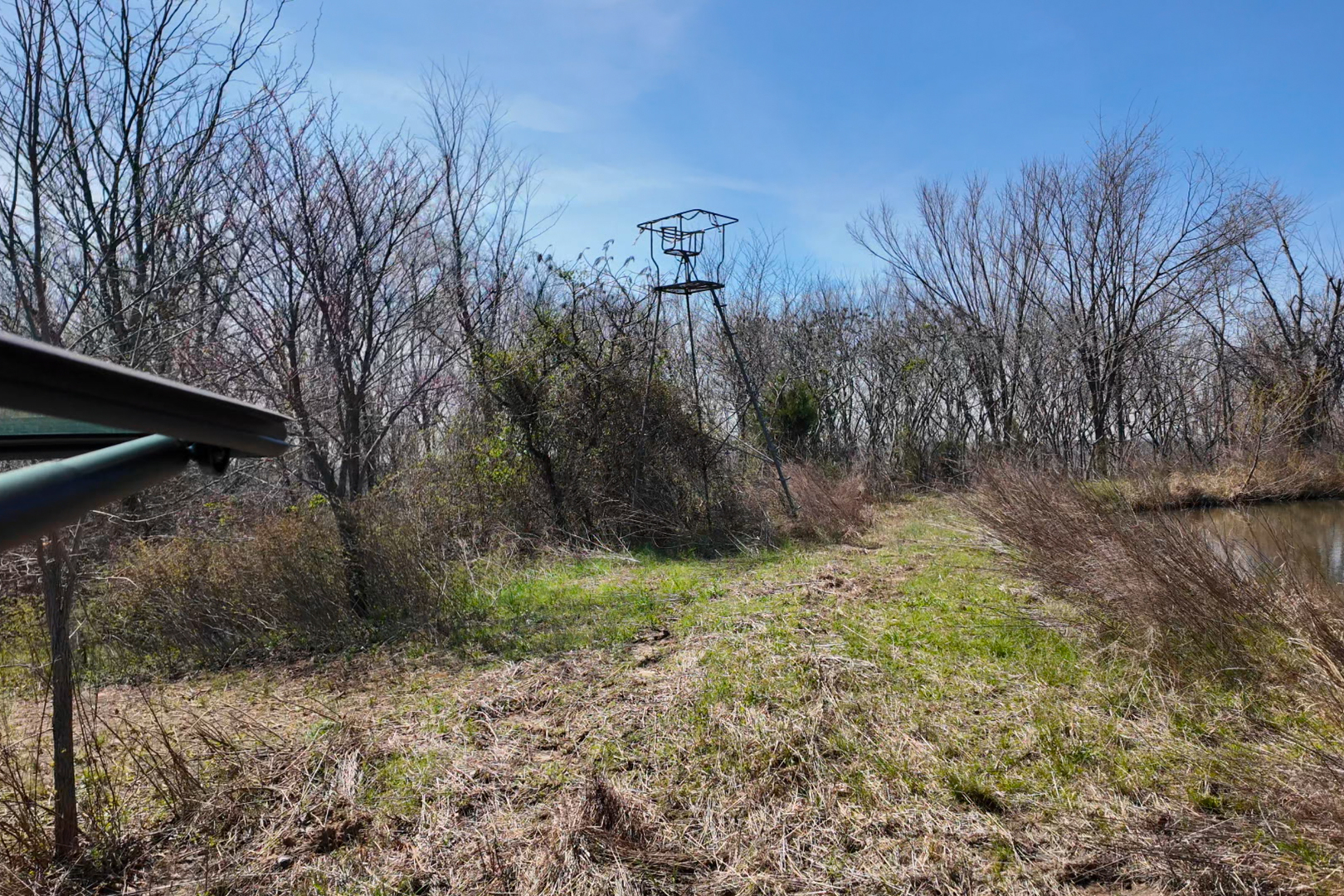 191 Bruce Johnson Road Herod, IL 62947 - Photo 23 of 36 a view of a yard with trees