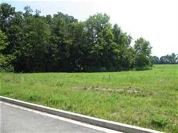 $35,500 | Lot 9 Abigail Court, East Peoria, IL 61611