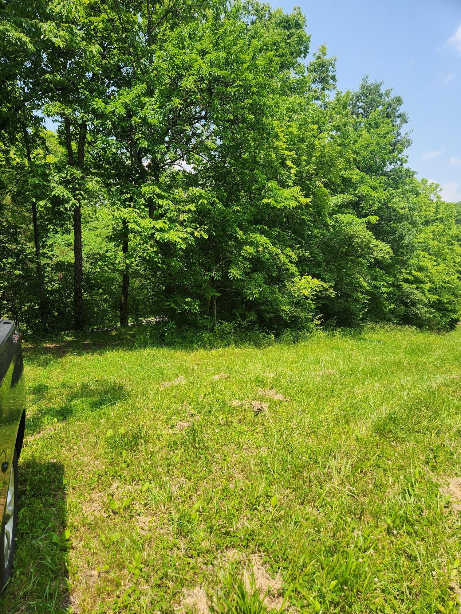 901 Galbraith Road Brooksville, KY 41004 - Photo 8 of 16 Gallery Image 8