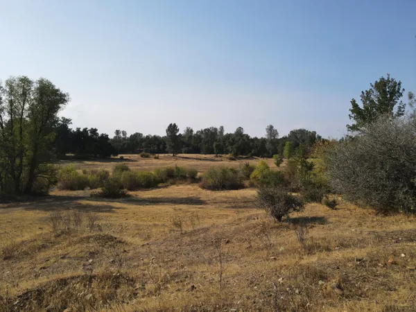 a view of outdoor space with trees