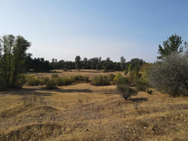 a view of outdoor space with trees