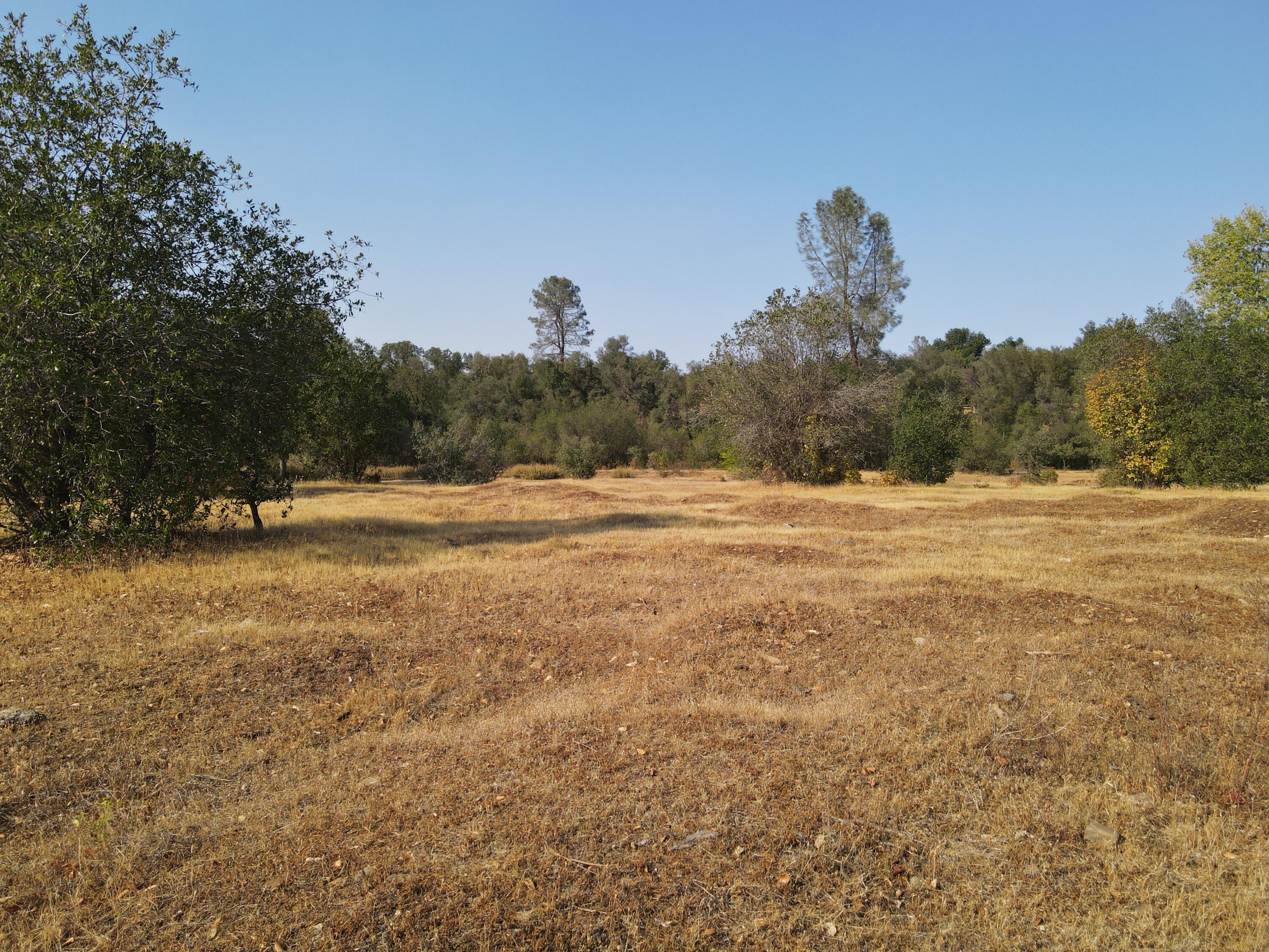 Old Oregon Trail Redding, CA 96002 - Photo 12 of 51 a view of outdoor space with trees