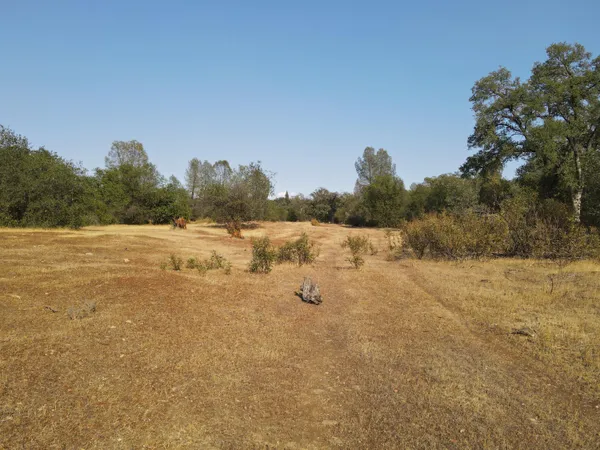 a view of outdoor space with trees