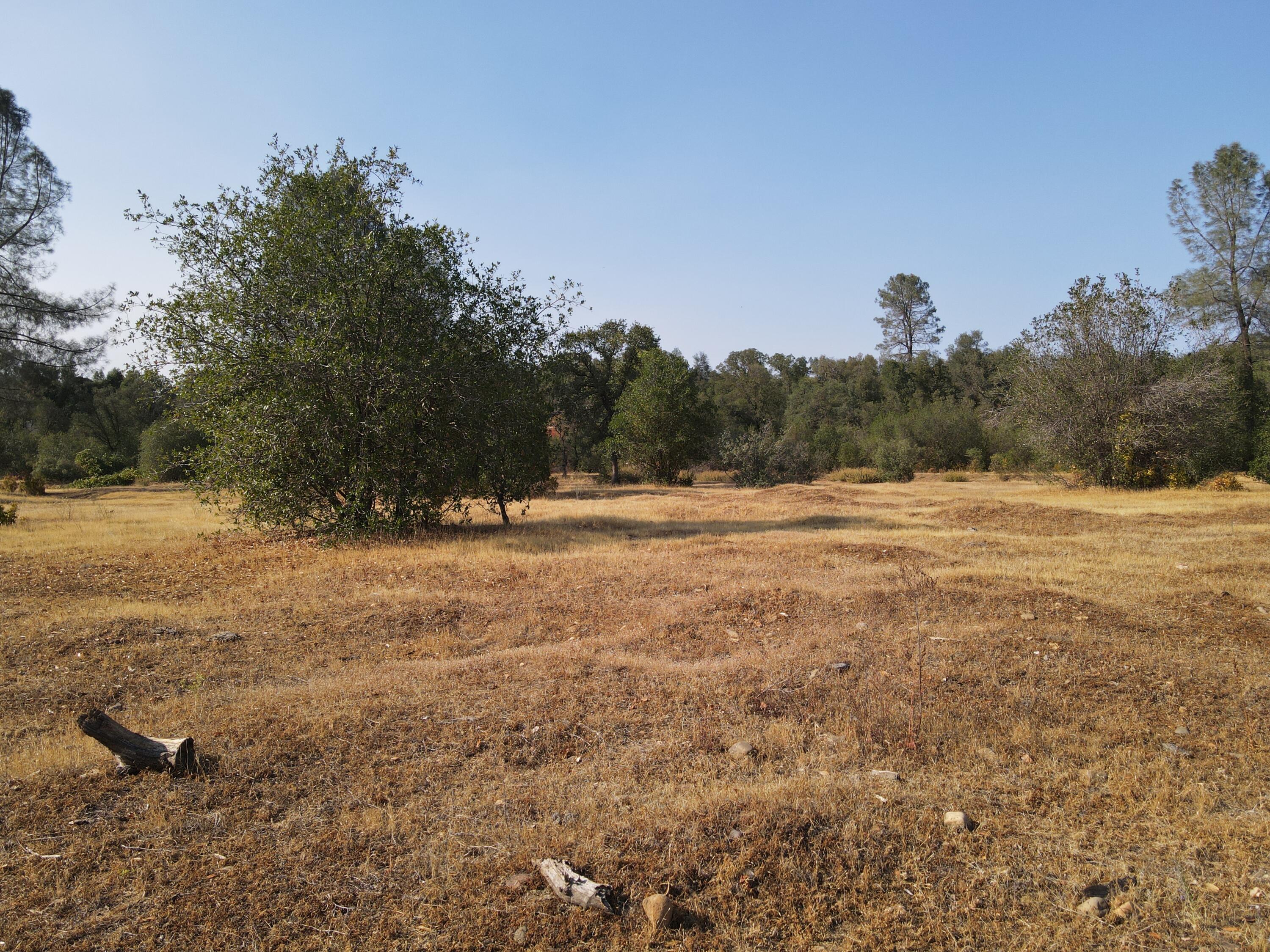 Old Oregon Trail Redding, CA 96002 - Photo 14 of 51 a view of outdoor space with trees
