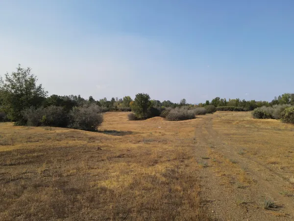 a view of a field