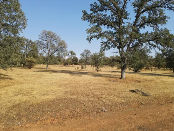 a view of a field