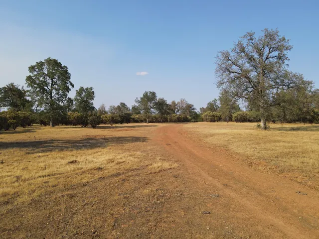 a view of a lake with houses in the back