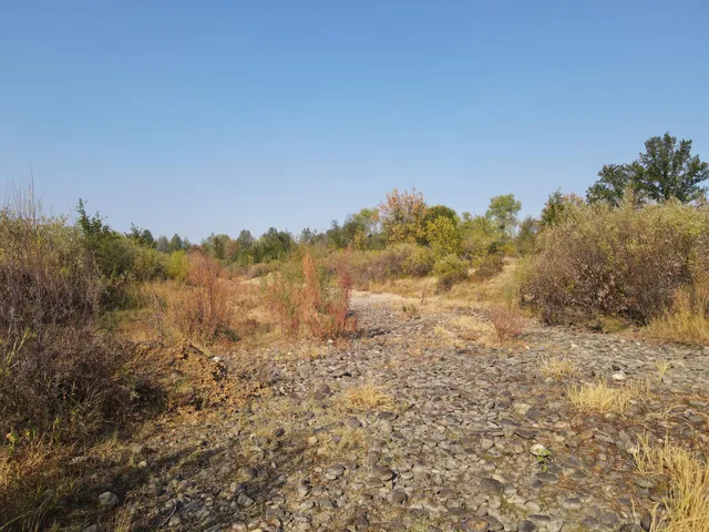 a view of an ocean beach