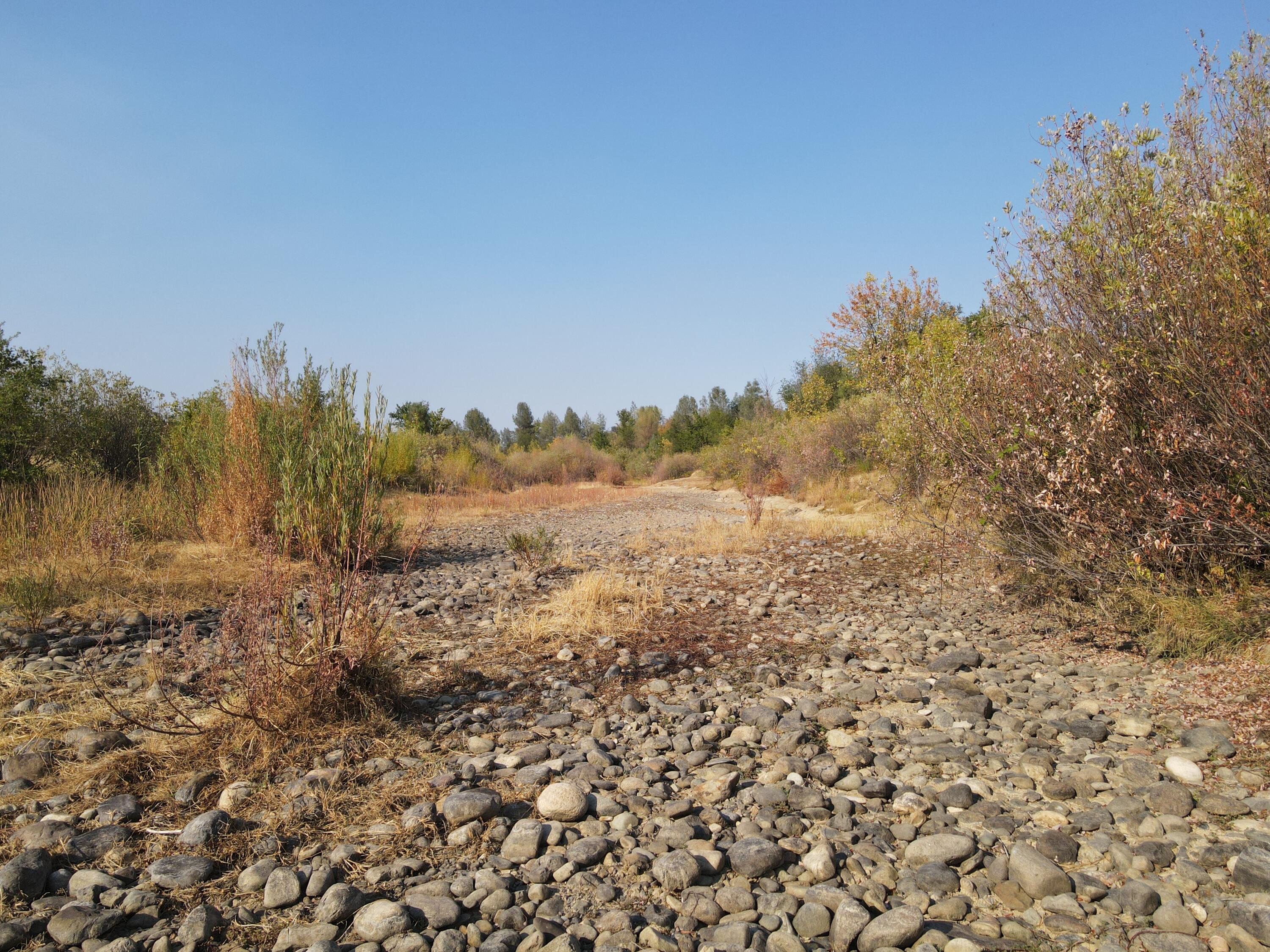 Old Oregon Trail Redding, CA 96002 - Photo 20 of 51 a view of a field with trees in background