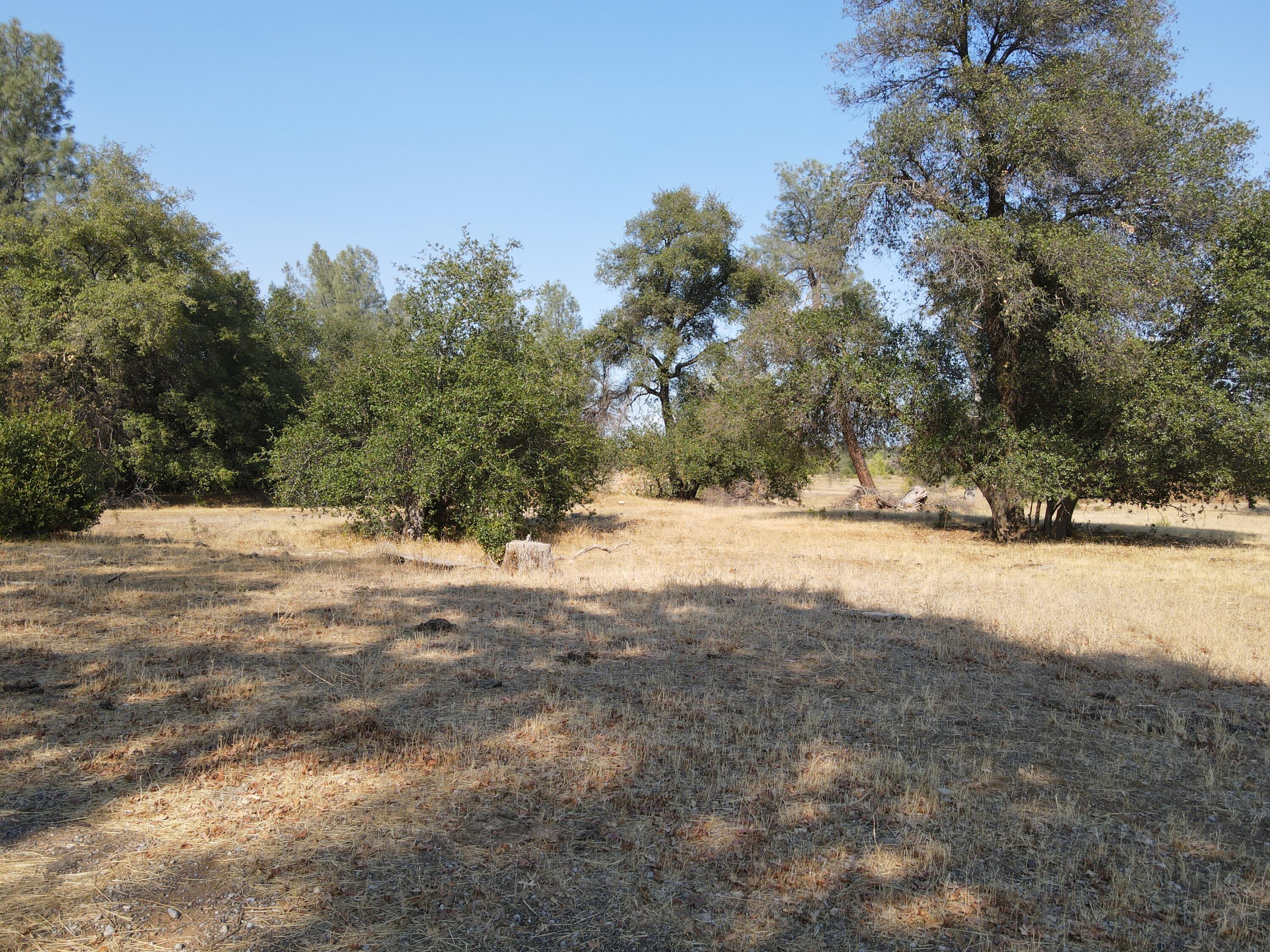 Old Oregon Trail Redding, CA 96002 - Photo 2 of 51 a view of yard covered with snow