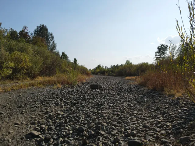 a view of white wall with a yard