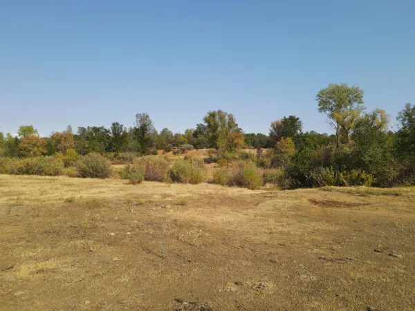 a view of a field with trees in background