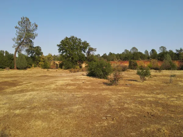 a view of outdoor space with trees