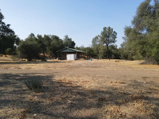 a view of dirt yard with a large tree