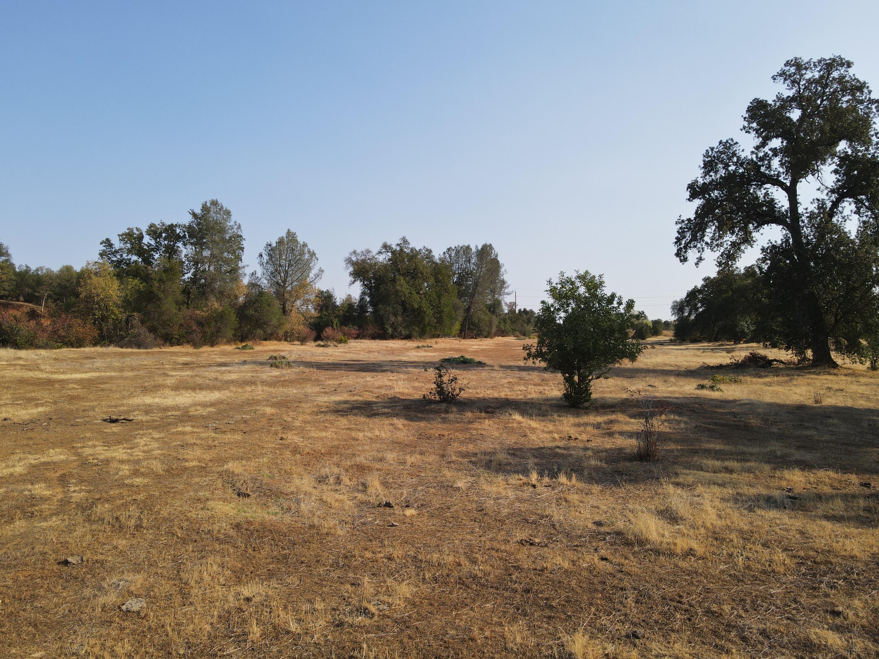 Old Oregon Trail Redding, CA 96002 - Photo 34 of 51 a view of outdoor space with trees