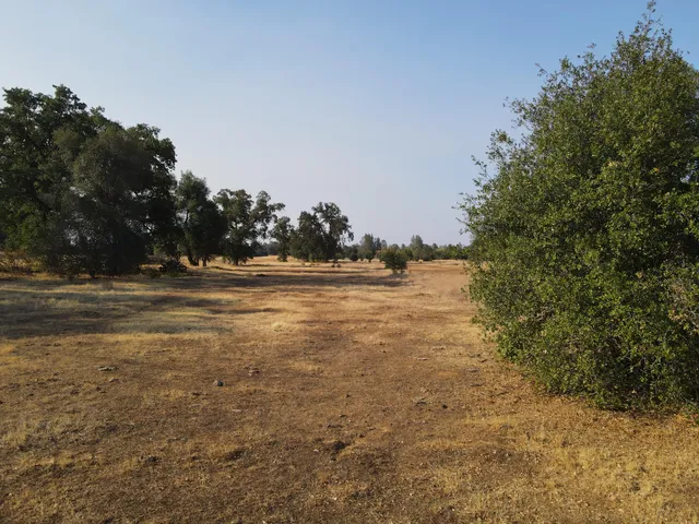 a view of an ocean beach
