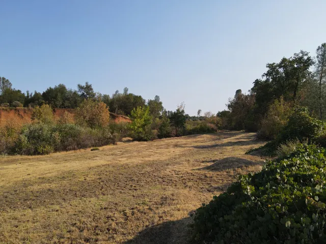 a view of an ocean beach