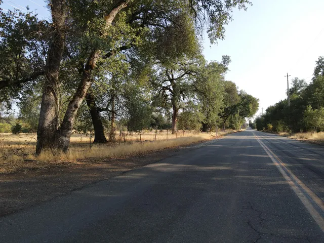 a view of dirt field with trees