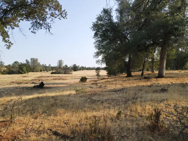 $2,900,000 | Old Oregon Trail, Redding, CA 96002