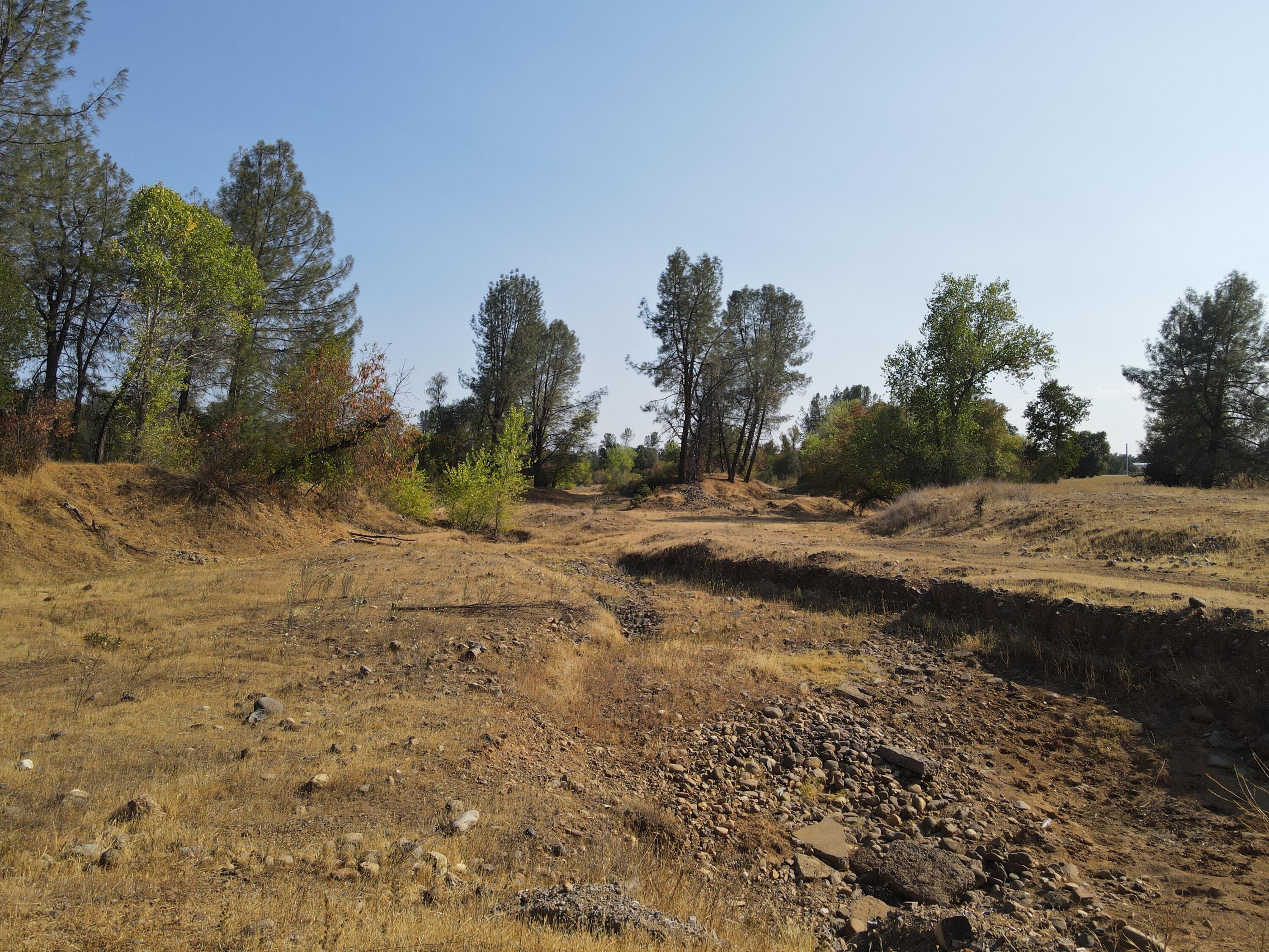 Old Oregon Trail Redding, CA 96002 - Photo 5 of 51 a view of dirt yard with a large tree